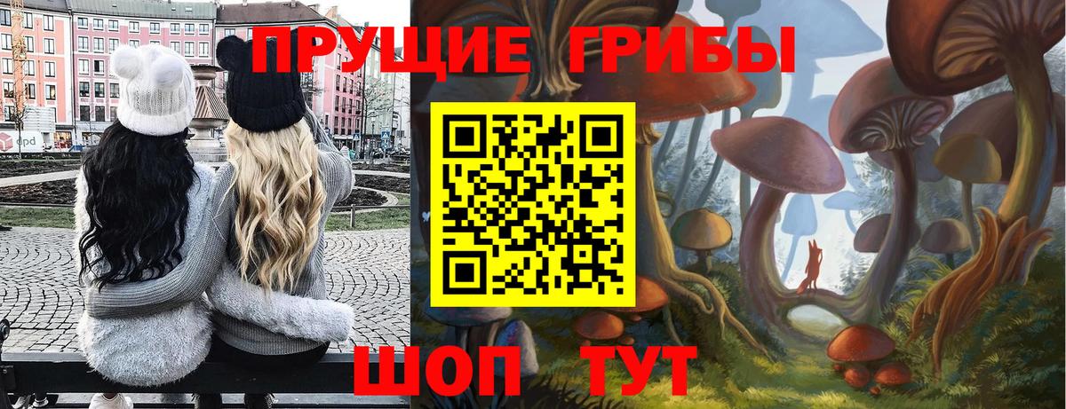 Псилоцибиновые грибы Cubensis  Вход с VPN  купить   Жигулёвск 